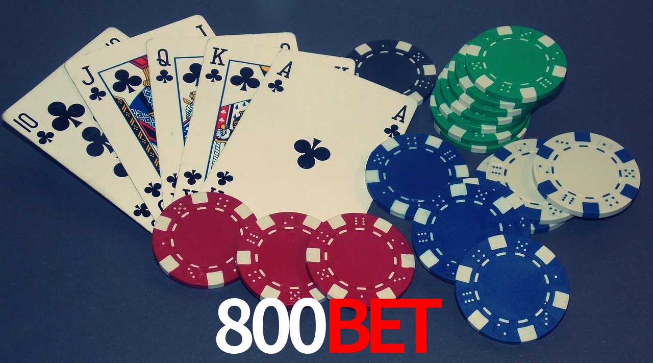 Game Statistics 800bet